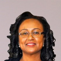 Wwa-leader-bod-bstshabalala